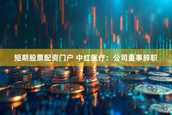 短期股票配资门户 中红医疗：公司董事辞职
