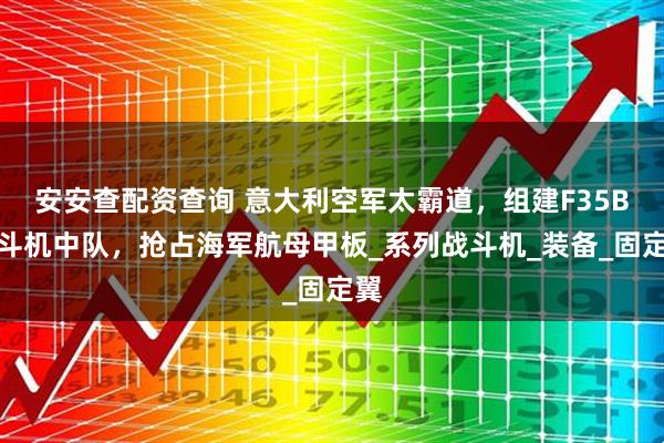 安安查配资查询 意大利空军太霸道，组建F35B战斗机中队，抢占海军航母甲板_系列战斗机_装备_固定翼